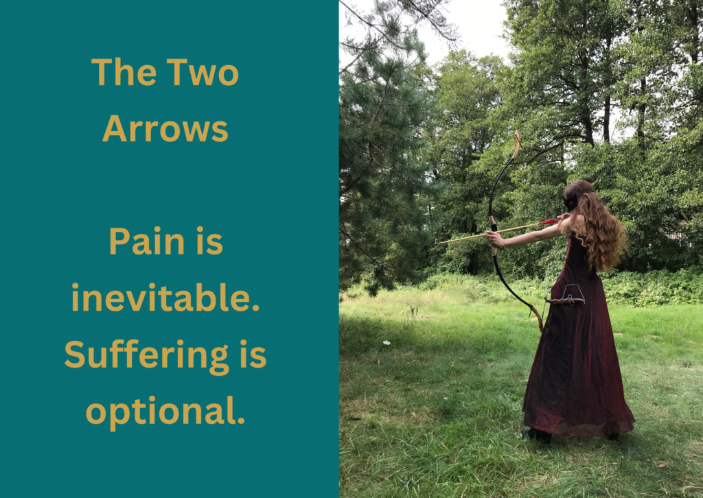 You don’t have to get hit by both arrows – wisdom on handling suffering ...